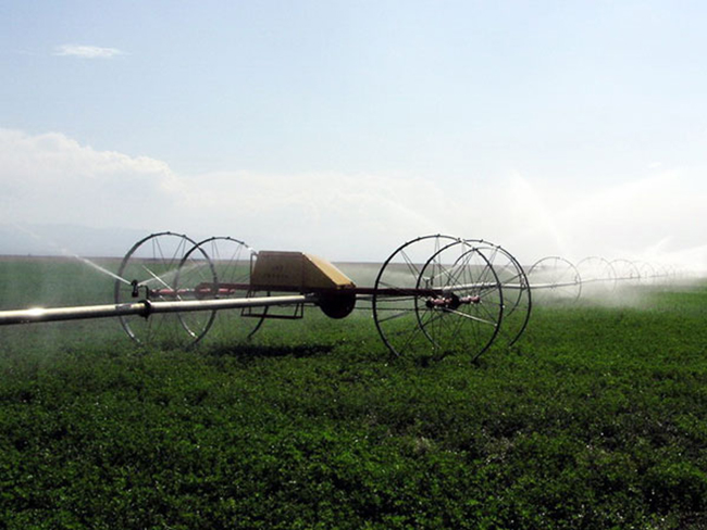 噴灌機|指針式噴灌機|平移式噴灌機